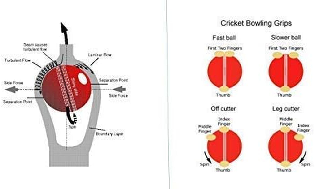 PVC T-20 Cricket Balls, (Multicolour)