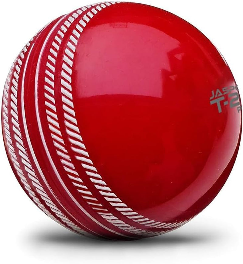 PVC T-20 Cricket Balls, (Multicolour)
