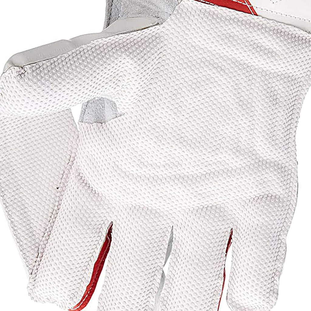 RSD Prolite Premium Cricket Wicket Keeping Gloves - Full Size, Adult