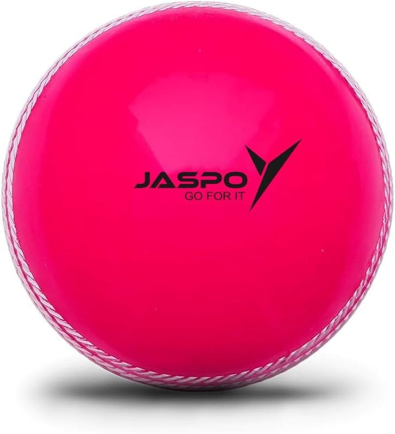 PVC T-20 Cricket Balls, (Multicolour)