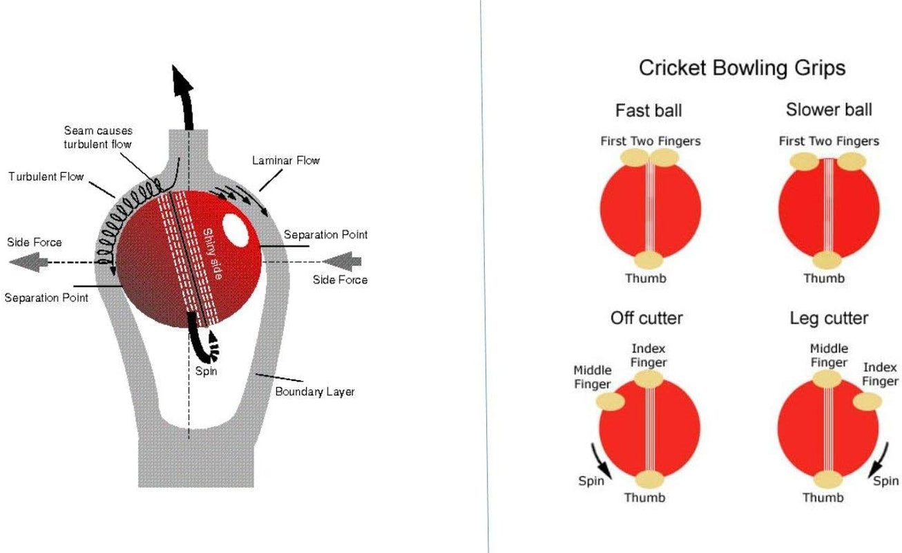 PVC T-20 Cricket Balls, (White)