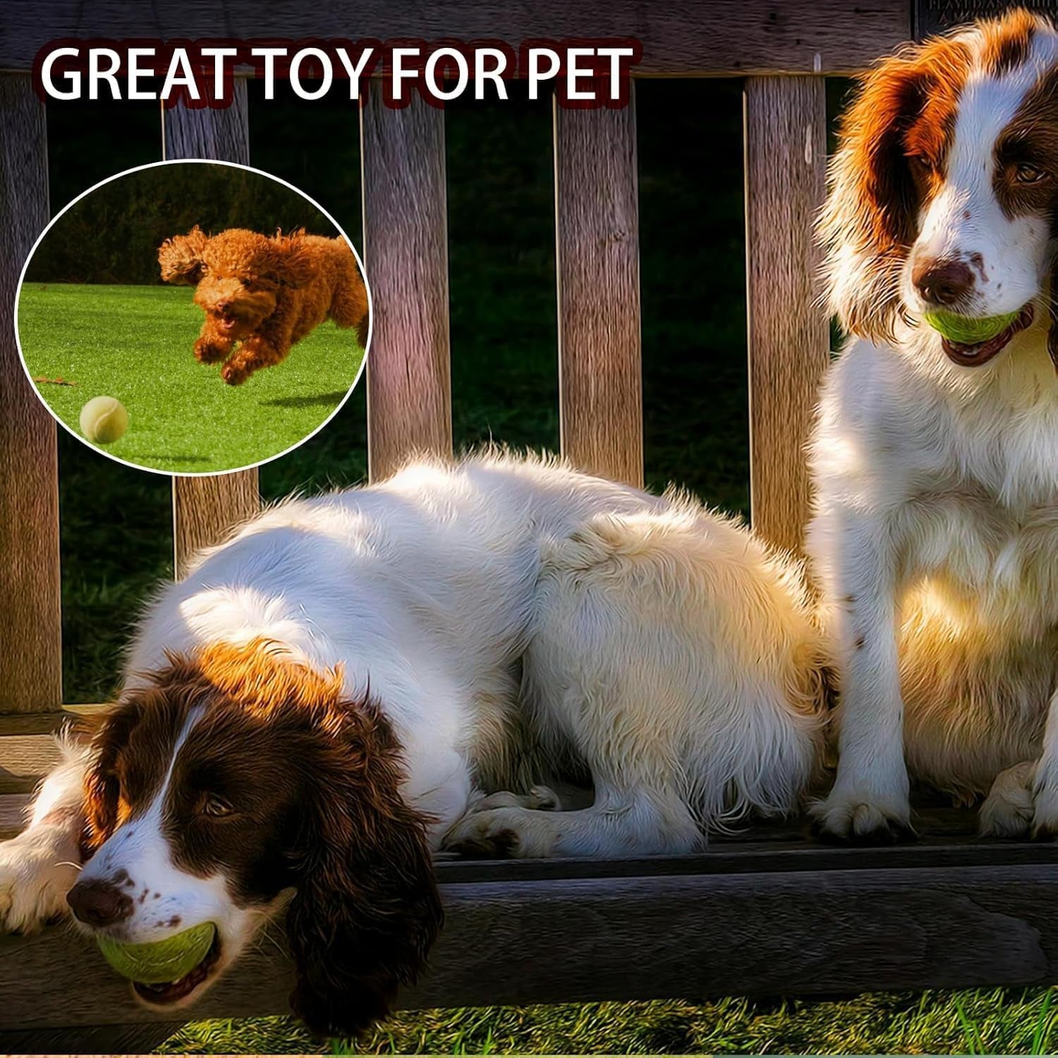 Tennis Balls, 20 Pack Training Tennis Balls,High Elasticity Practice Tennis for Beginner, Exercise Playing Balls for Pet Dog