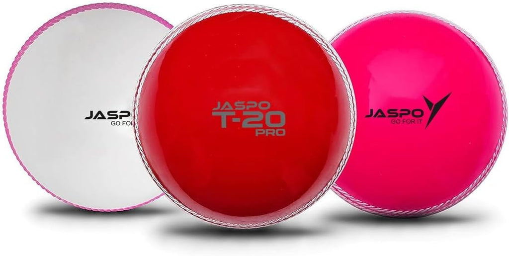 PVC T-20 Cricket Balls, (Multicolour)