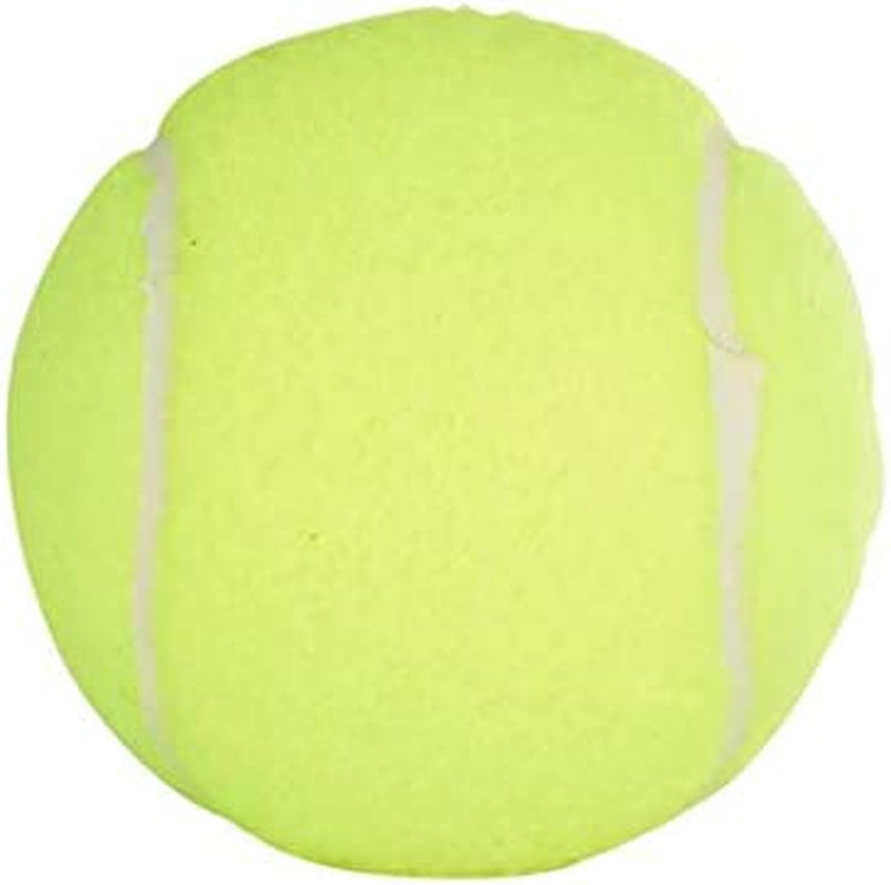 Championship Tennis Balls - Extra Duty
