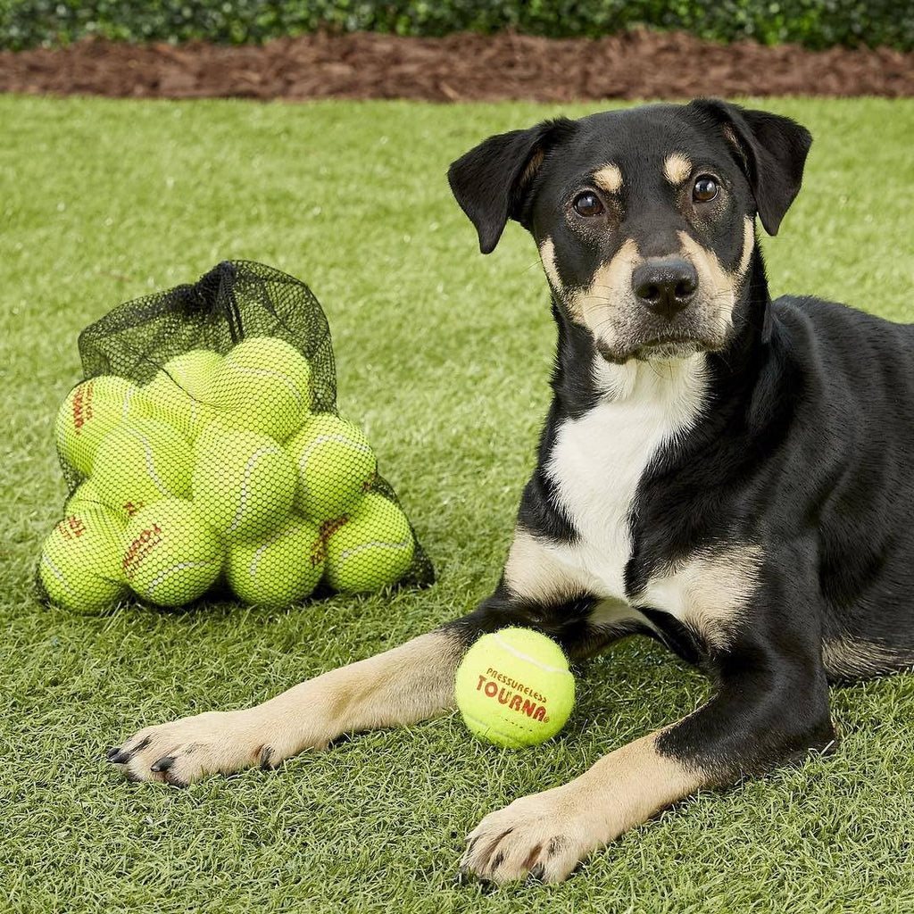 Mesh Carry Bag of 18 Tennis Balls