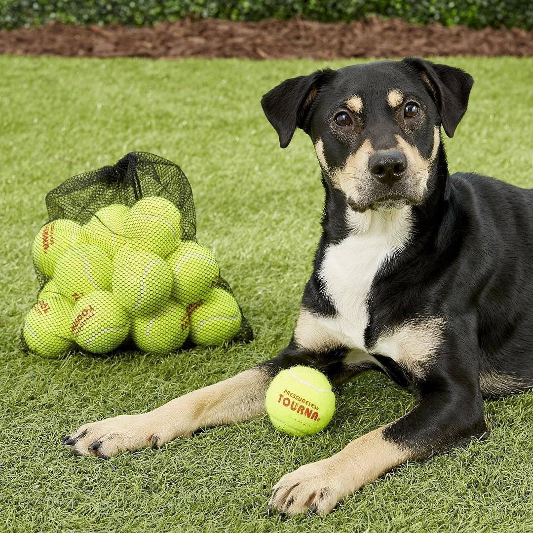 Mesh Carry Bag of 18 Tennis Balls