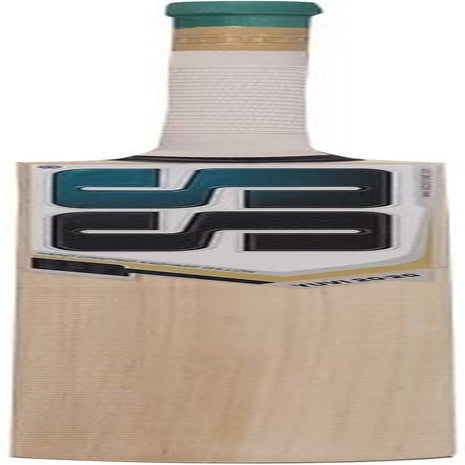 Kashmir Willow Leather Ball Cricket Bat, Exclusive Cricket Bat for Adult Full Size with Full Protection Cover (Super Power, Cannon, Impact) by Yogi Sports …