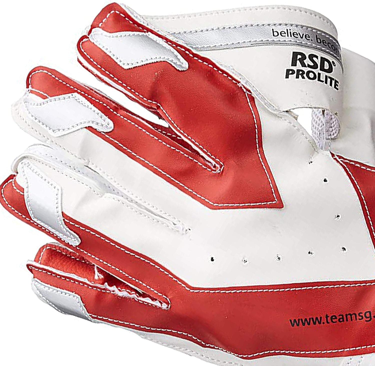 RSD Prolite Premium Cricket Wicket Keeping Gloves - Full Size, Adult