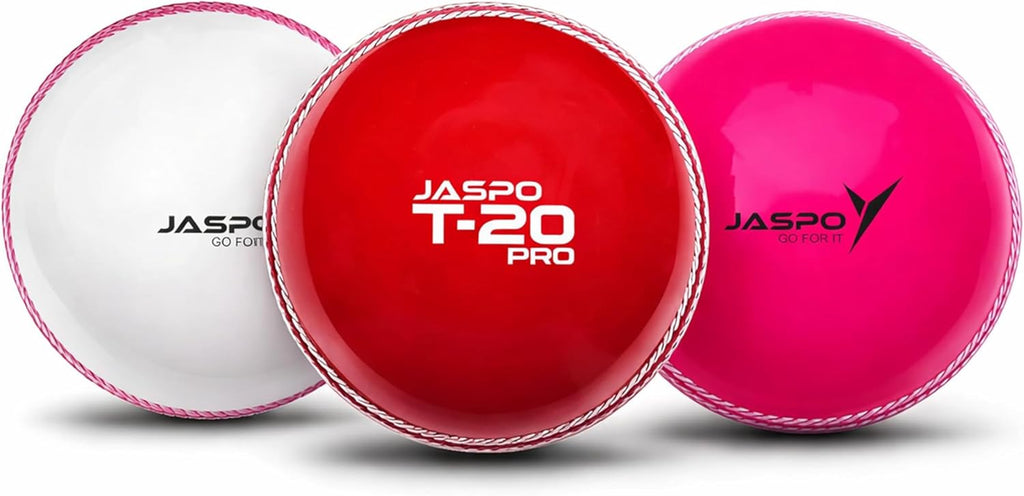 PVC T-20 Cricket Balls, (Multicolour)